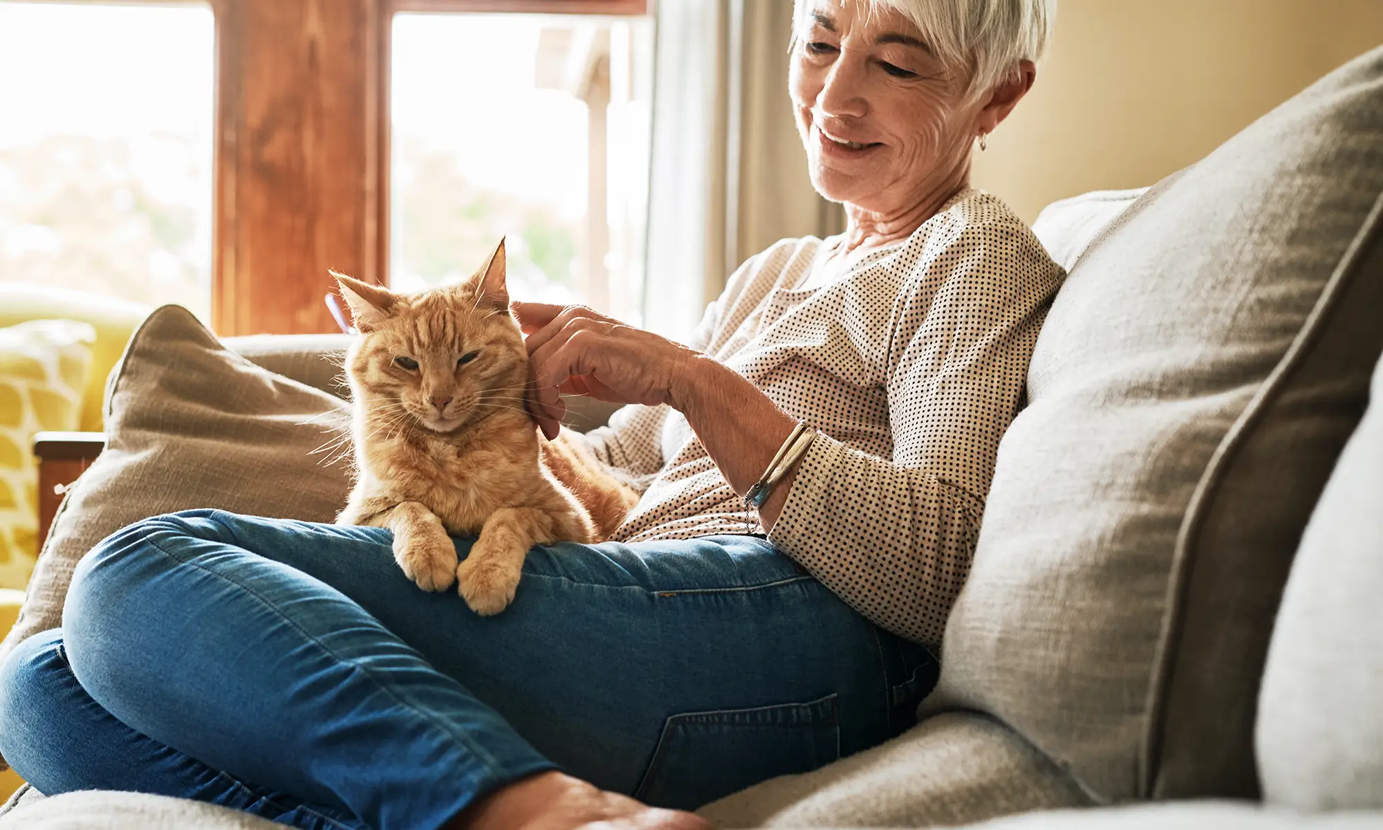 A woman petting a cat