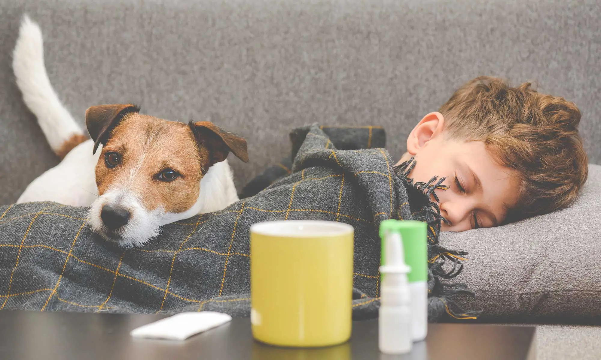 A boy and dog sleeping on the couch