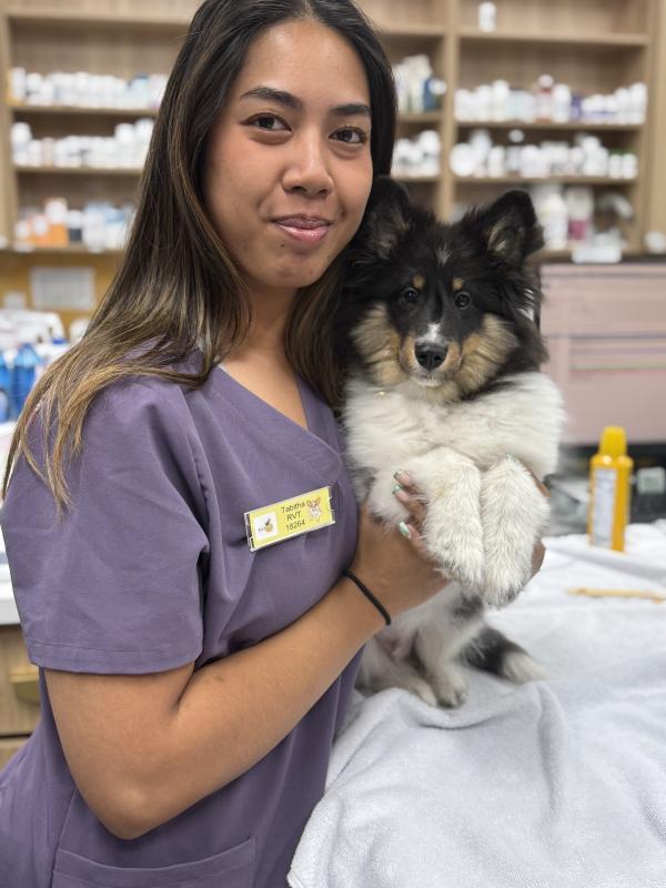 Tabitha , RVT Tabitha , RVT